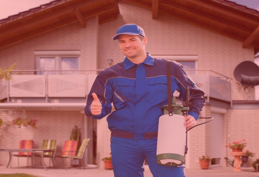 خدمات مكافحة الحشرات